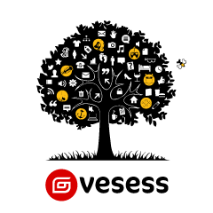 Vesess turns nine years